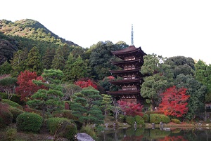 瑠璃光寺の紅葉