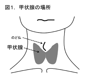 甲状腺 腫れ