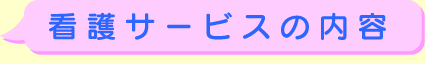 ŌT[rX̓e